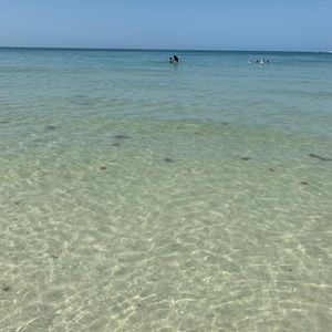 Meet your Posher, Yanny